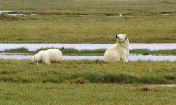 Preparing for Hell and High Water: Researchers Advocate for Climate Adaptation Science