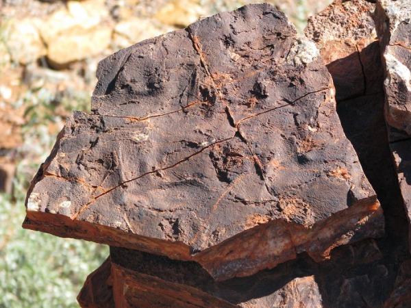 Evidence of 3.5-Billion-Year-Old Bacterial Ecosystems Found in Australia