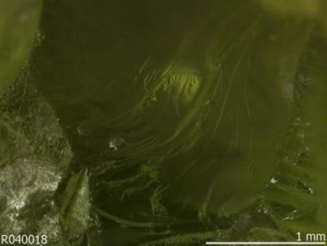 Ancient Minerals: Which Gave Rise to Life?
