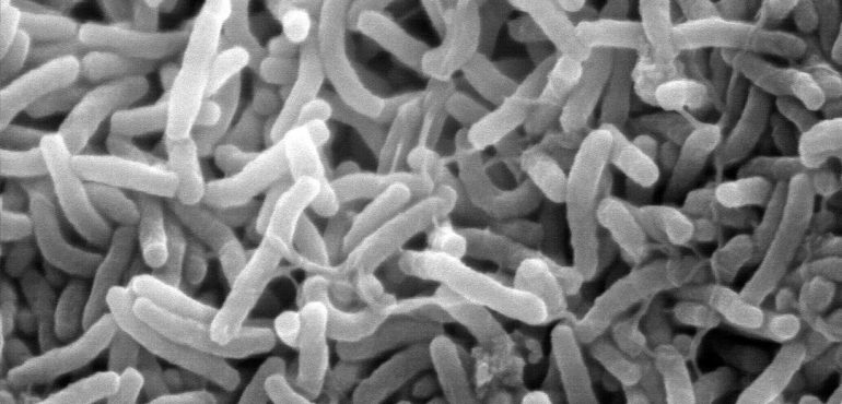 Antibiotic Resistance. Be Afraid. REALLY! Be VERY Afraid!