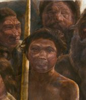 At 400,000 Years, Oldest Human DNA Yet Found Raises New Mysteries