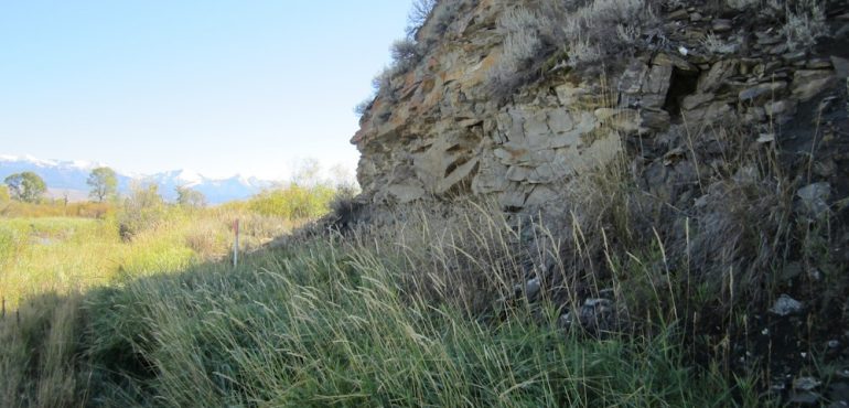 Prehistoric Boy May Be Native American ‘Missing Link’