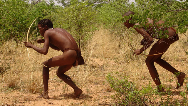 Out of Africa … And Back Again?