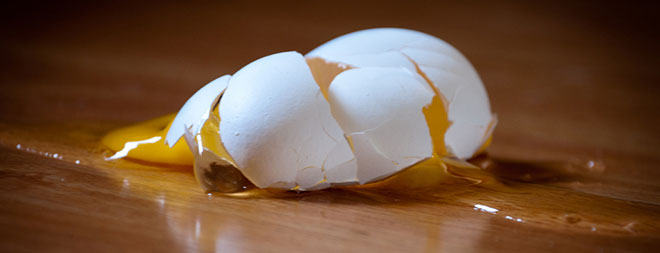 Using Laser Fingerprinting To Identify Salmonella