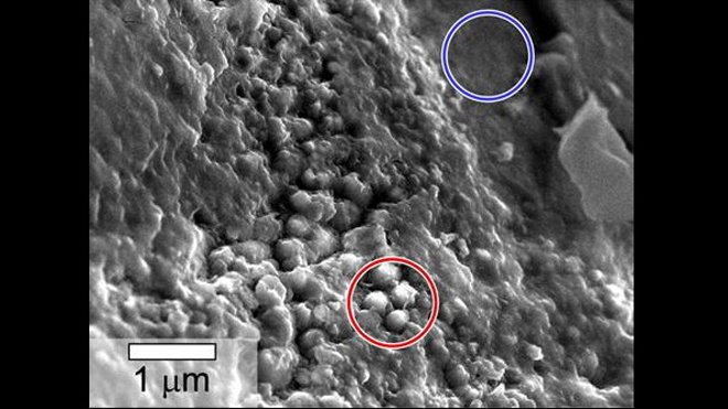 ‘Tunnels’ and ‘spheres’ in meteorite revive debate over life on Mars