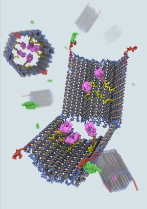 Tiny, Logical Robots Injected into Cockroaches