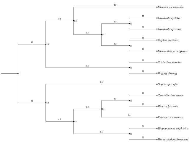 Technological Perspectives in Phylogeny Research: Revisiting Comparative Analysis of Complete Mitochondrial Genomes for Time-Extended Lineages