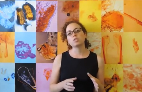 BIOESSAYS: Why do the well-fed appear to die young?