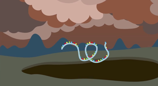 The RNA Origin of Life