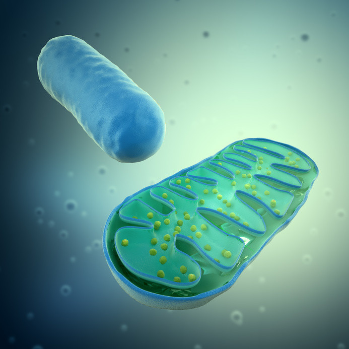 Four-billion-year-old chemistry in cells today