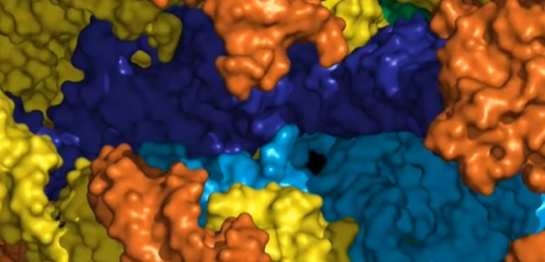 The Origins and Evolution of the Ribosome
