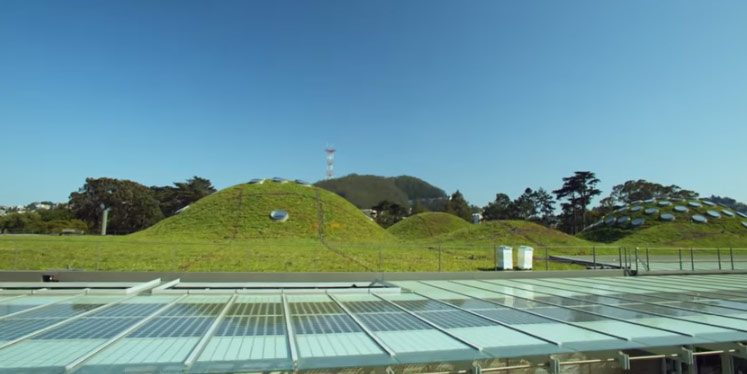 WHAT’S POSSIBLE: The U.N. Climate Summit Film (Preview)