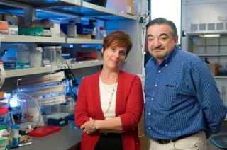 Researchers create ‘evolved’ protein that may stop cancer from spreading