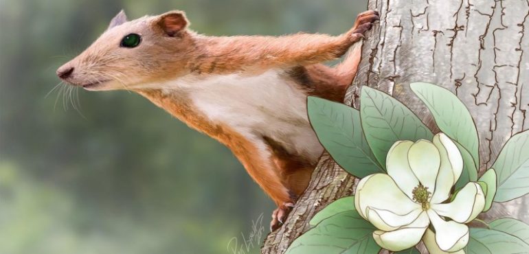 Fossil ankles indicate Earth’s earliest primates lived in trees