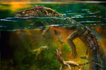Preserved fossil represents oldest record of parental care in group of prehistoric reptiles