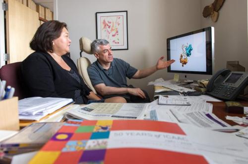 New antibiotic holds promise against antibiotic-resistant infections