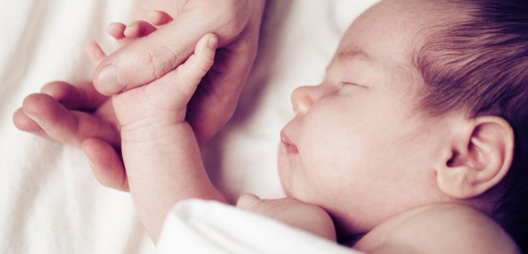 Genetically speaking, mammals are more like their fathers