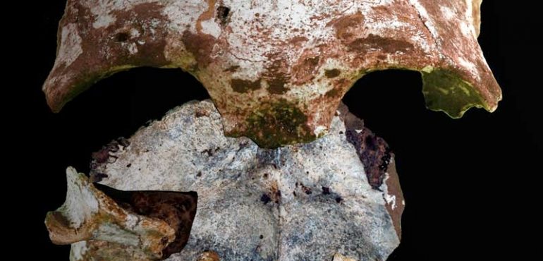 Humans Trekked Out of Africa Via Egypt, Study Suggests