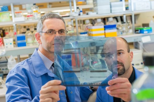 Discovery of new code makes reprogramming of cancer cells possible