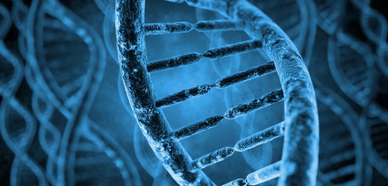Genetic analysis supports prediction that spontaneous rare mutations cause half of autism