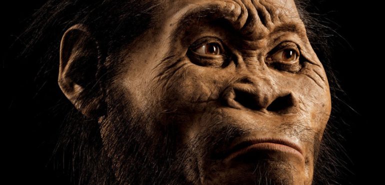 New Human Species with Orange-Size Brain Discovered