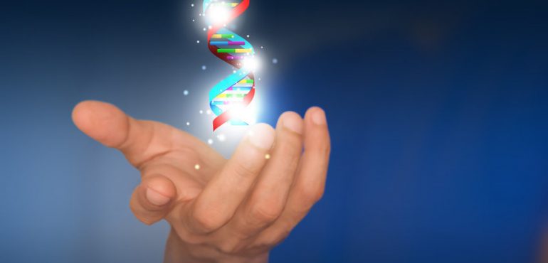 Epigenetic algorithm accurately predicts male sexual orientation
