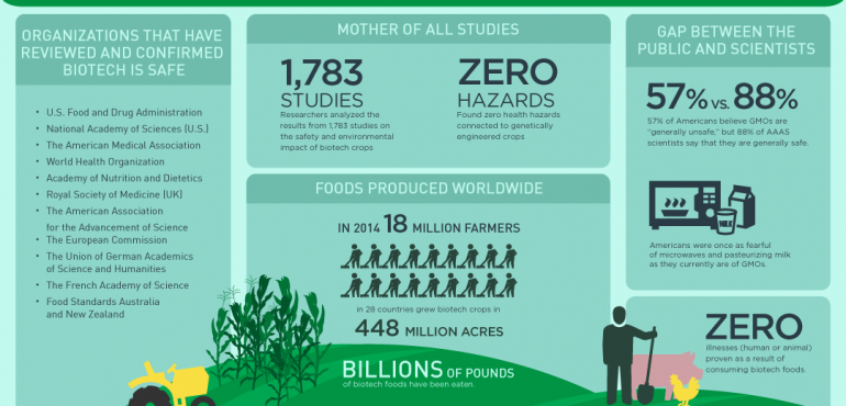 Who Exactly Say Biotech Foods are Safe?