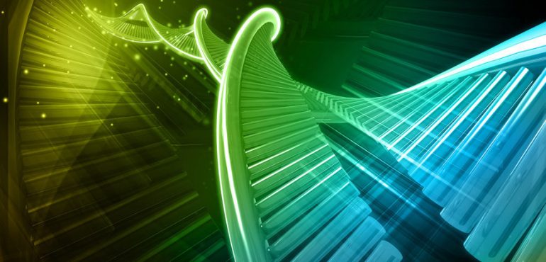 Genes for a longer, healthier life found