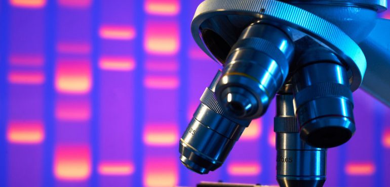 Accidental discovery of how to stay young for longer works in worms