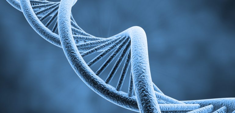 Lifespan: Genetic background and physical activity both matter