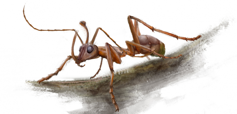 99-million-year-old ‘unicorn ant’ boasted a bizarre prey-catching horn