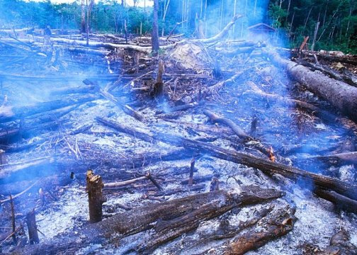 New map shows alarming growth of the human footprint