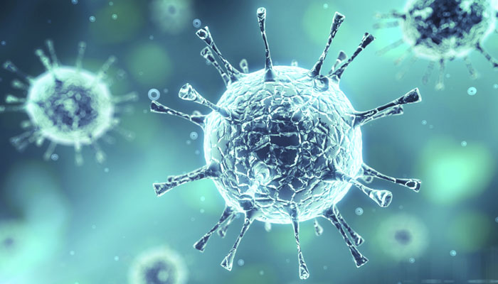 World of viruses uncovered