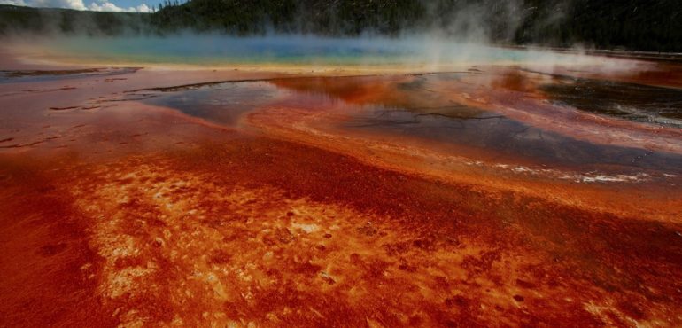 A Break in the Search for the Origin of Complex Life