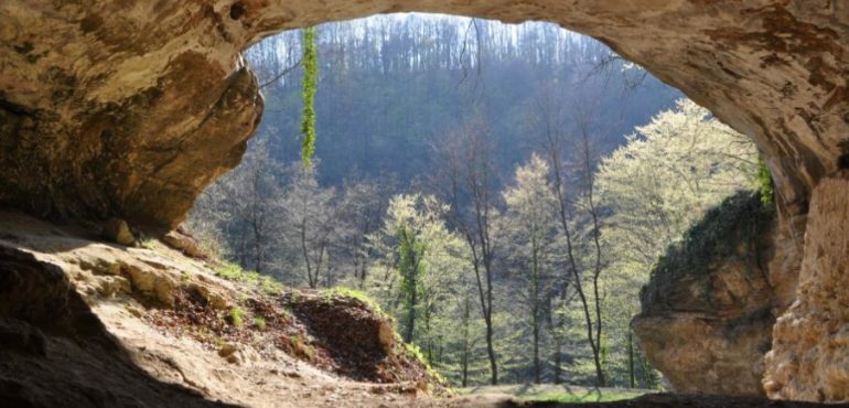 DNA from extinct humans discovered in cave sediments