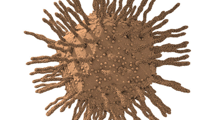Giant viruses found in Austrian sewage fuel debate over potential fourth domain of life