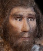 In saliva, clues to a ‘ghost’ species of ancient human
