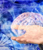 Brain cells found to control aging