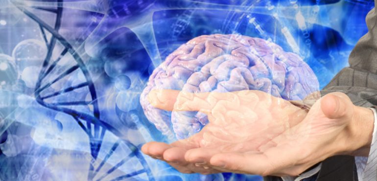 Brain cells found to control aging