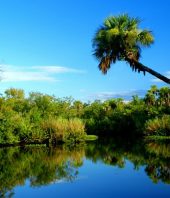 St. Lucie River algae-free for Fourth of July