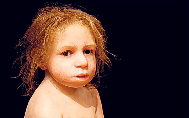 Reconstructing how Neanderthals grew, based on an El Sidrón child
