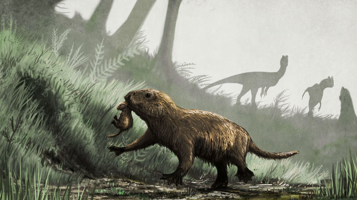 When dinosaurs went extinct, many animals literally came out of the dark