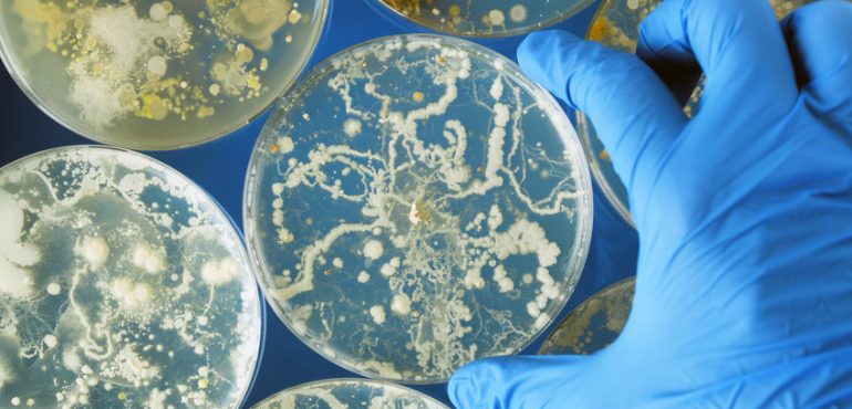 Antibiotics resistance: Researchers succeed to block genes of resistance