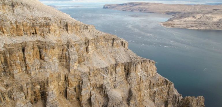 Origins of photosynthesis in plants dated to 1.25 billion years ago