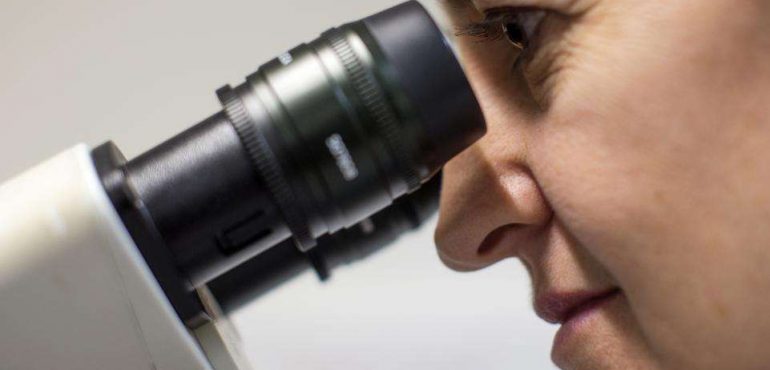 Two Bacteria Revealed as Culprits Behind Colon Cancer in New Study