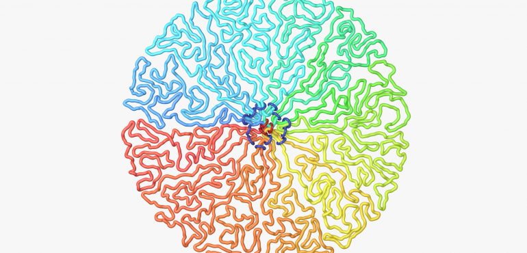 Loops, loops, and more loops: This is how your DNA gets organized