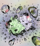 Chemists use technology to decode language of lipid-protein interaction