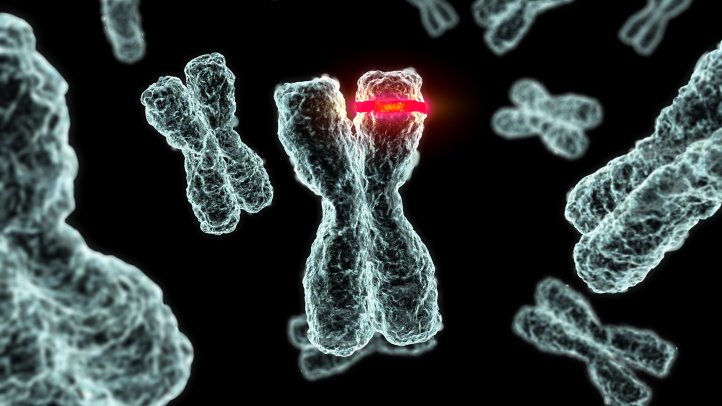 Mutating DNA caught on film
