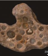 Bubbles of life from the past: Tiny bubbles of oxygen got trapped 1.6 billion years ago