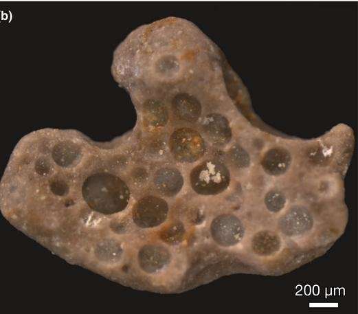 Bubbles of life from the past: Tiny bubbles of oxygen got trapped 1.6 billion years ago